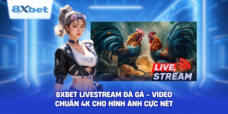 8XBET Livestream Đá Gà
